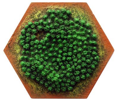 Wood - 3D 2005
