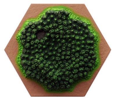 Wood Hex - 3D 2021