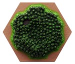 Wood Hex - 3D 2021