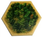 Forest v2 - 5th