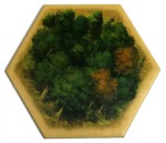 Forest v3 - 5th