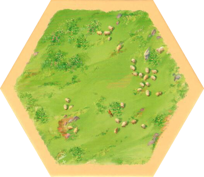 6E 56p - Sheep 01