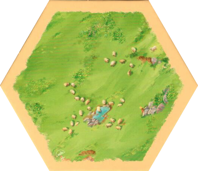 6E 56p - Sheep 02