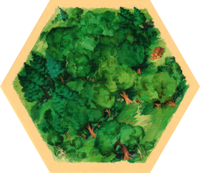 6E 56p - Wood 01