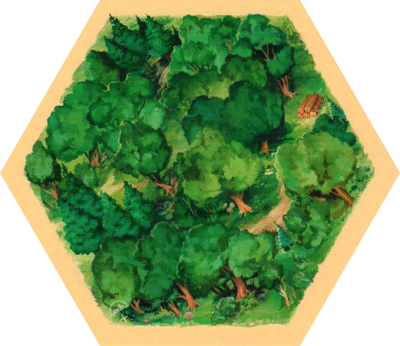 6E 56p - Wood 02