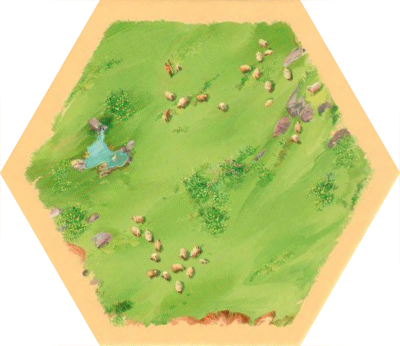 6E Base - Sheep 03