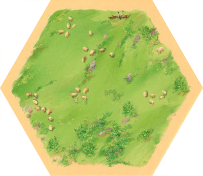 6E Base - Sheep 04
