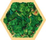 6E Base - Wood 02