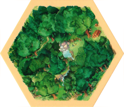 6E Base - Wood 04