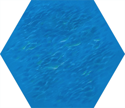 6E - Sea Hex