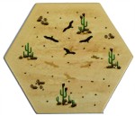 Desert - Summer 2019