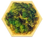 DE SR - Forest