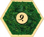 Die Kolonien 2007 - Wood 02