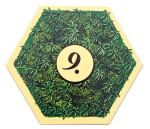 NL-Jungle 02