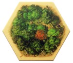 Forest 02 - LotC