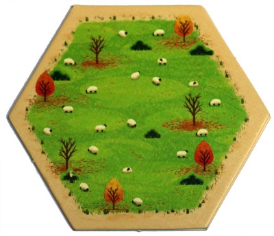 Sheep 01 - Autumn 2018