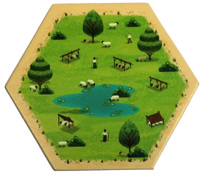 Sheep1 - Summer 2019
