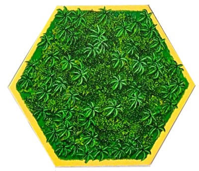 SOC - Jungle