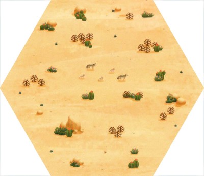 Desert - Spring 2023