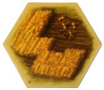 TDA - Fields 01