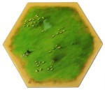 TDA - Pasture 01